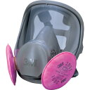 【5/15はP2倍!】3M 取替式防じんマスク 6000F/2091-RL3 Mサイズ 6000F/2091-RL3M