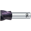 OSG 超硬ラジアスエンドミル GXコート2刃 コーナー半径0.5mm 刃径12mm 3001123 GX-CR-EDS-SF-12XR0.5(4)