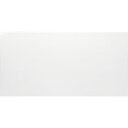 【25日はP3倍!】別途送料 IRIS アイリスオーヤマ 567099 プラダン 1820X910X4 ホワイト 5枚 PD-1894-W 白 梱包用品 工作材...