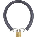 【6/1はP3倍! 400円クーポン】SOL チェーンパドロック シリンダー錠タイプ(ステンロック) ステン600mm 2590-30S