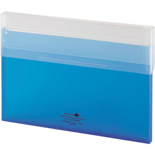 【10/15はP2倍】LIHIT(リヒト) コングレスバッグ 青 A4 A5035-8