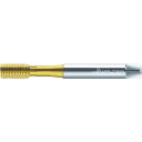 ワルタープロトティップ S PLUS 転造タップ(TINコート) JD2066705-M12