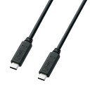 TTvC USB3.1Gen2TypeCP[u KU31-CCP510