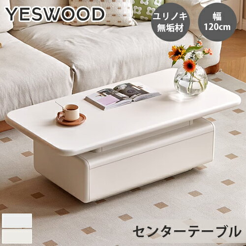乐天商城 - センターテーブル ローテーブル おしゃれ 引き出し リビングテーブル 北欧 木製 収納 センターテーブル コーヒーテーブル 座卓 収納付き リビング テーブル ロータイプ カフェ風 かわいい コンパクト 小さめ ホワイト 一人暮らし インテリア 幅120cm ユリノキ材 ホワイト