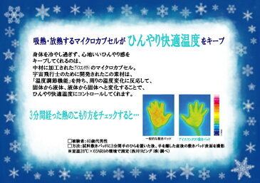 西川枕パッド　アイスミスト　枕カバー　ピローパッドアイスコンタクト　ひんやり　枕パッド　枕パット 50×50cm　クール　シーツ　接触冷感　吸湿速乾　冷たい　枕　まくらパット　夏用　夏物　涼しい　枕【RCP】20P26Mar16　lucky5days