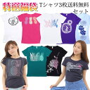 \送料無料/ フラダンス 福袋 送料無料でTシャツ3枚セット