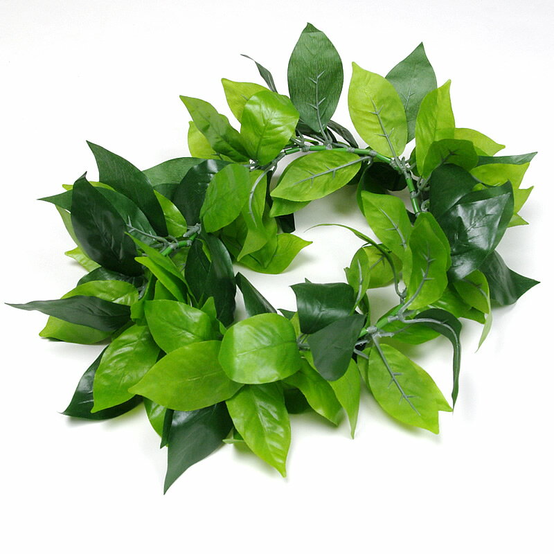 フラダンス ヘッドバンド ハワイアン プレミアムマイレ レイポオ