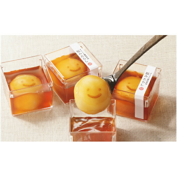 【夏ギフト】菓匠禄兵衛福みたらし10個