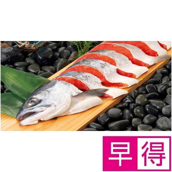 【夏ギフト早得】北海道ぎょれん熟成塩紅鮭　三段仕込み製法（甘塩味）
