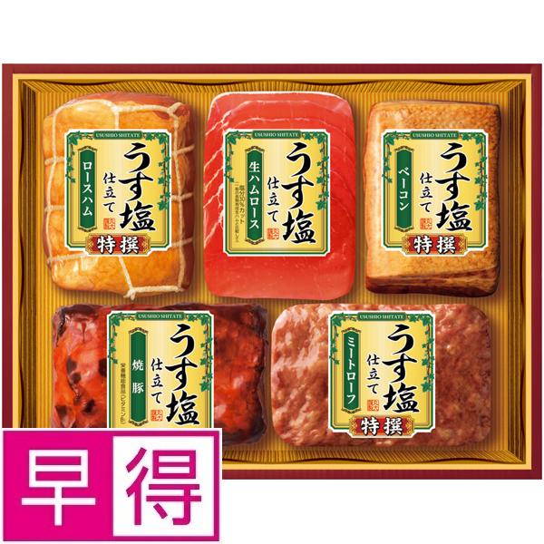 丸大 【夏ギフト早得】丸大食品うす塩仕立て