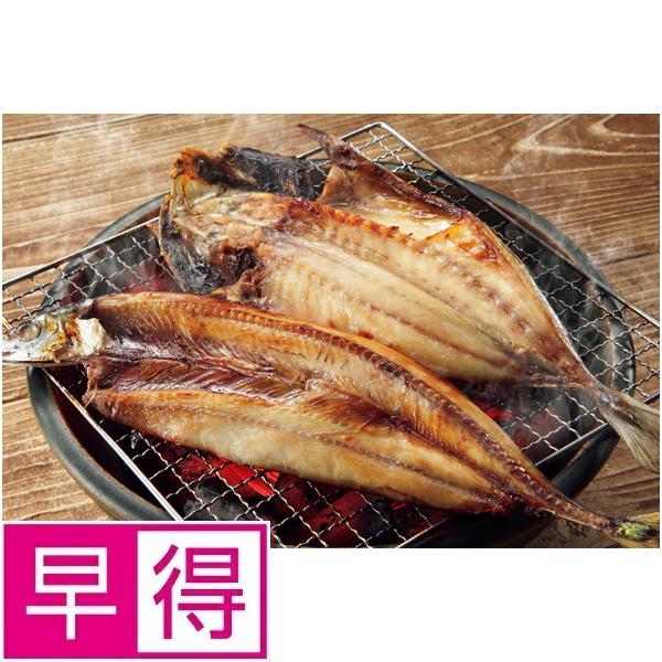 【夏ギフト早得】森寅大洗の森寅　干物・漬魚セット