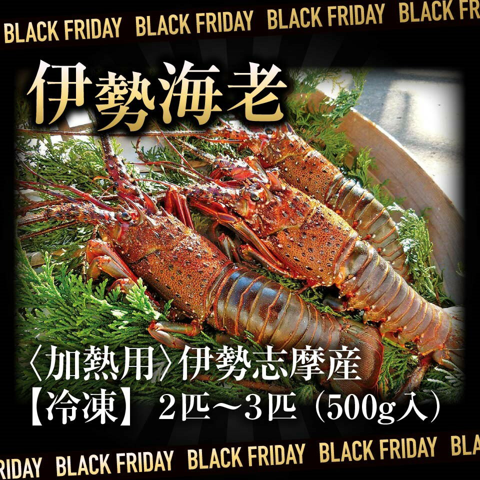 【BlackFriday】伊勢志摩産【冷凍】伊勢海老 2匹～3匹 (500g入)〈加熱用〉のサムネイル