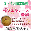 ＜ブランカ＞シェルレーヌ 桜　8個入 マドレーヌ 詰め合わせ 個包装 焼き菓子 菓子 手土産 おしゃれ 日持ち 三重県 ホワイトデー 母の日 お菓子 職場 プレゼント 母の日ギフト スイーツ スイーツギフト