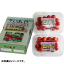 【さくらんぼギフト】成生土づくり研究会佐藤錦 L フードパック 約360g(180g×2)