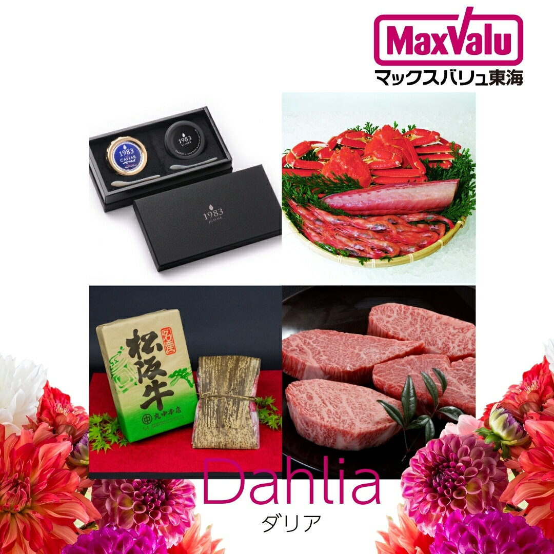 쳤λʤǳڤࡪɥե ֥ꥢ 