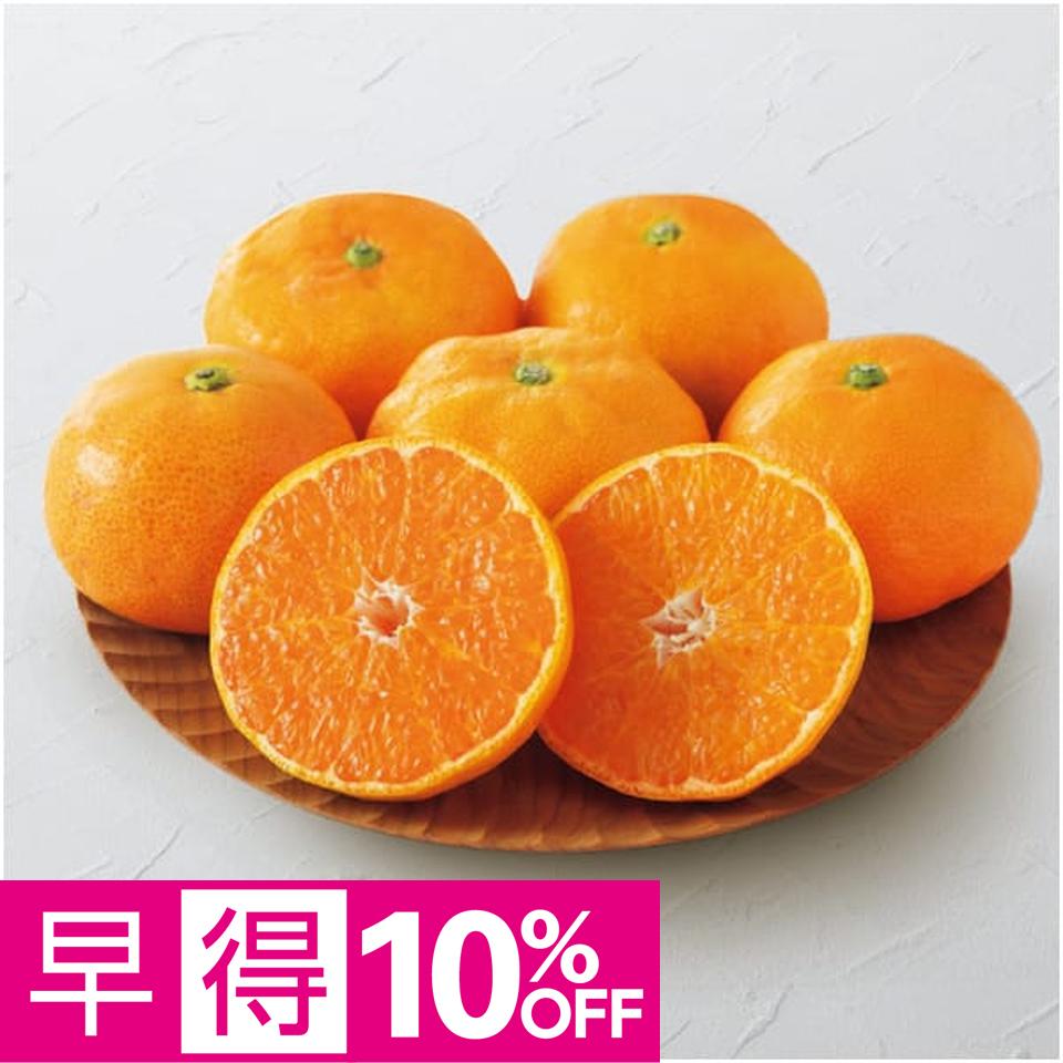 【父の日早得】大分県産ハウスみかん 父の日 ギフト プレゼント 贈答 早割 大分県 みかん フルーツ