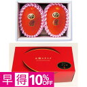 【父の日早得】宮崎県産(JA西都)太陽のタマゴ 化粧箱2個 父の日 ギフト プレゼント 贈答 早割 マンゴー 宮崎県 フルーツ