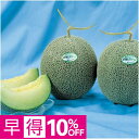 【父の日早得】熊本県産肥後グリーンメロン 父の日 ギフト プレゼント 贈答 早割 メロン フルーツ 熊本県