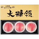 【夏の贈りもの】JAふえふきみさかの桃(大糖領)