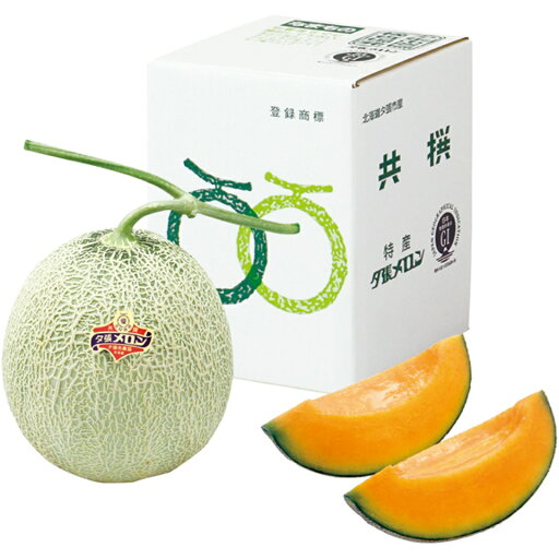 【夏の贈りもの】北海道夕張市産(JA夕張市) 夕張メロン 優品2L 【夏の贈りもの】北海道夕張市産(JA夕張市) 夕張メロン 優品2L