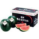 【夏の贈りもの】北海道産(JAふらの) 黒小玉西瓜