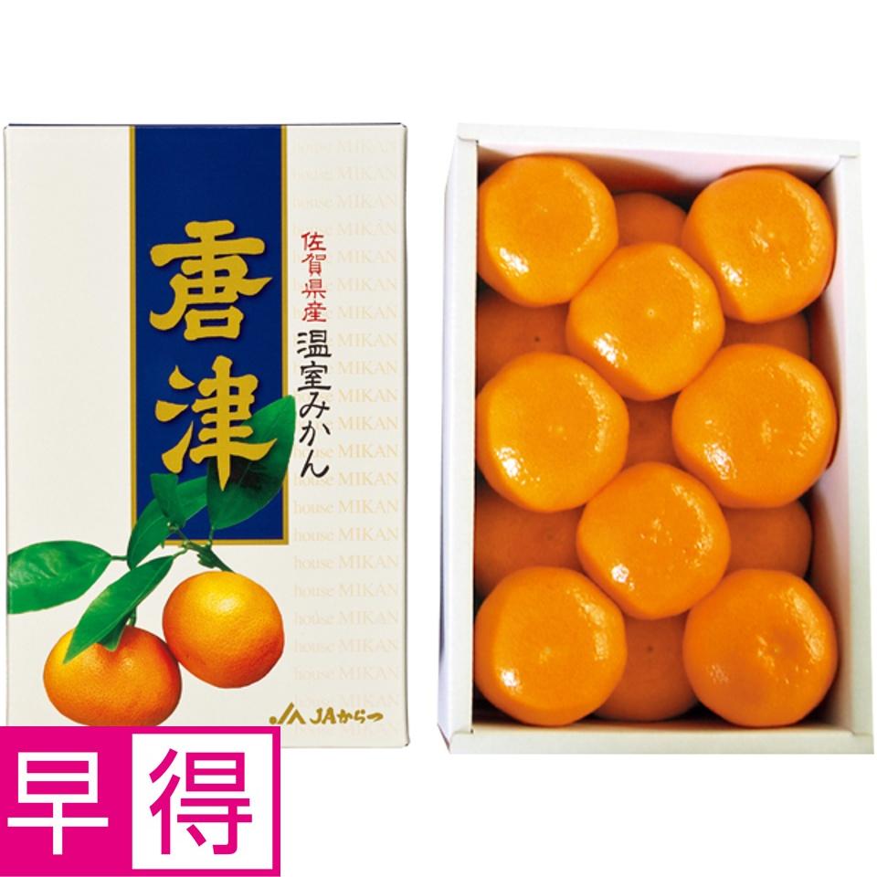 【夏の贈りもの早得】佐賀県産（JA唐津） ハウスみかん