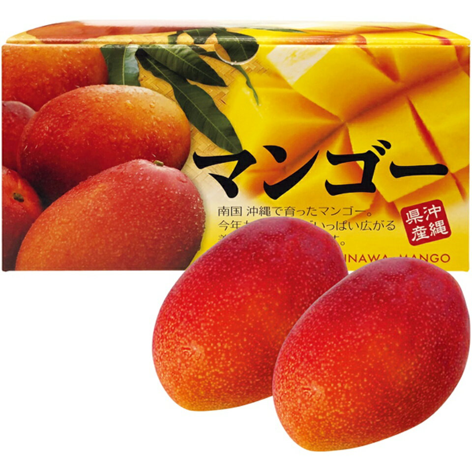 【夏の贈りもの】沖縄県産 アップルマンゴー