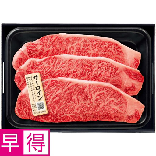 【夏の贈りもの早得】匠和牛 サーロインステーキ用 【夏の贈りもの早得】匠和牛 サーロインステーキ用