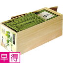 【夏の贈りもの早得】花の大和路 宇治抹茶入り茶そば「萌木EX」