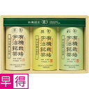 【夏の贈りもの早得】中井製茶場 有機宇治茶セット(4)