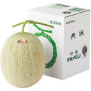 【夏の贈りもの】北海道夕張市産(JA夕張市) 夕張メロン 良品3L1個(自宅用)