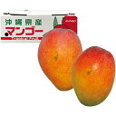 【夏の贈りもの】沖縄県産 わけありアップルマンゴー(自宅用)