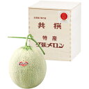 【夏の贈りもの】北海道夕張市産(JA夕張市) 夕張メロン 特秀品2L1個木箱