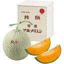 【夏の贈りもの】北海道夕張市産(JA夕張市) 夕張メロン 秀品2L1個木箱
