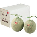 【夏の贈りもの】北海道夕張市産(JA夕張市) 夕張メロン 秀品2L2個木箱