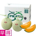 【夏の贈りもの早得】北海道夕張市産(JA夕張市) 夕張メロン 秀品2L2個