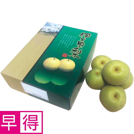 【夏の贈りもの早得】佐賀県産(JA伊万里) 幸水梨 【夏の贈りもの早得】佐賀県産(JA伊万里) 幸水梨