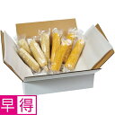【夏の贈りもの早得】北海道産・群馬県産 冷凍旬甘とうもろこし イエロー&ホワイト