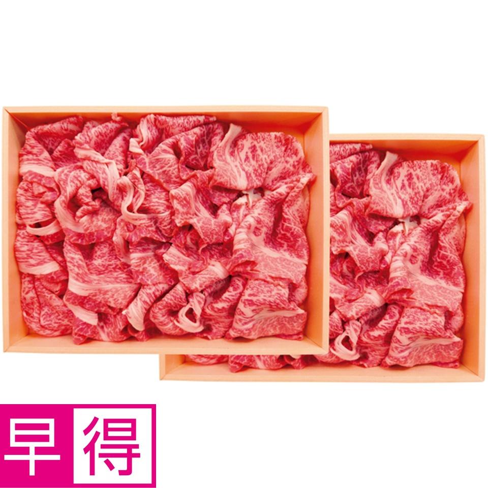 【夏の贈りもの早得】飛騨牛かた切りおとし