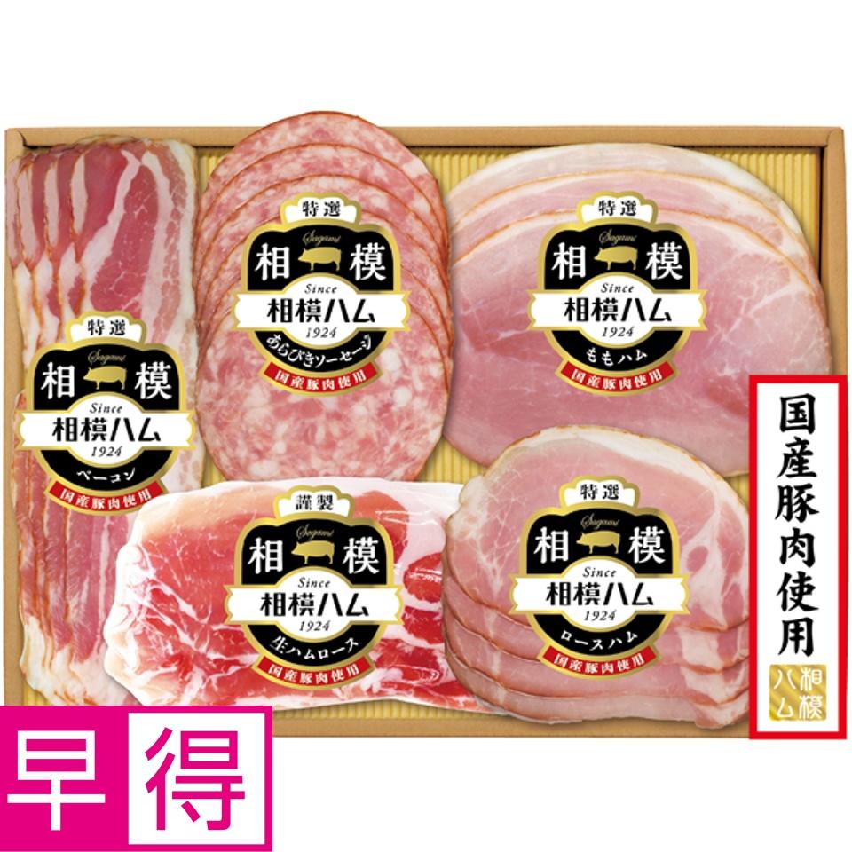 【夏の贈りもの早得】相模ハム 国産豚肉使用バラエティギフトセット
