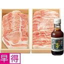 【夏の贈りもの早得】いもぶたしゃぶしゃぶセット(ロース・ばら)