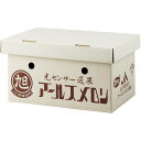 【夏の贈りもの】茨城県産(JA茨城旭村) アールスメロン2個入りギフト