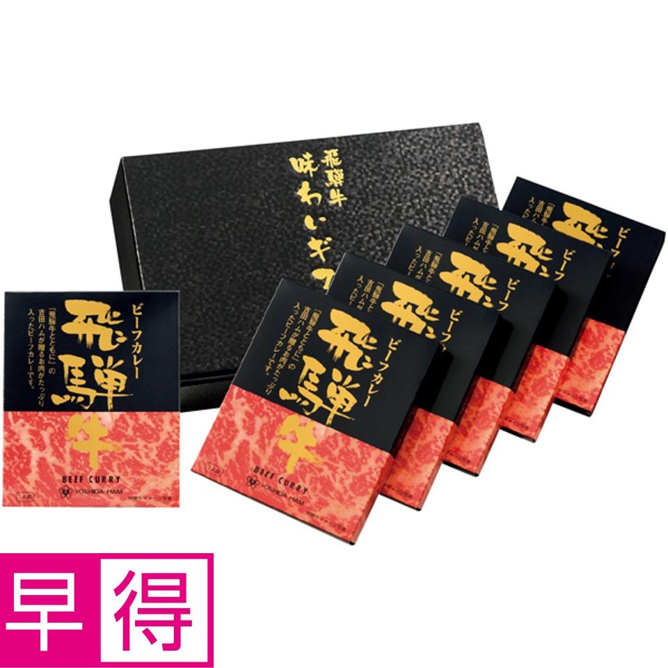 【夏の贈りもの早得】飛騨牛ビーフカレー