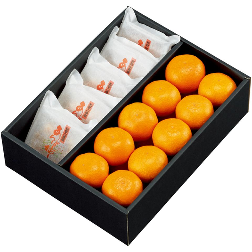 【冬の贈りもの】和歌山県産あんぽ柿（大粒）と有田みかん