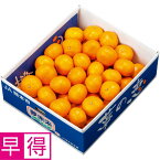 【冬の贈りもの早得】熊本県産夢未来みかん 夢の恵 S又はMサイズ、計4kg以上