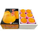 【冬の贈りもの】佐賀県産(唐津農業協同組合)デコポン 5〜6個、計1.1kg以上