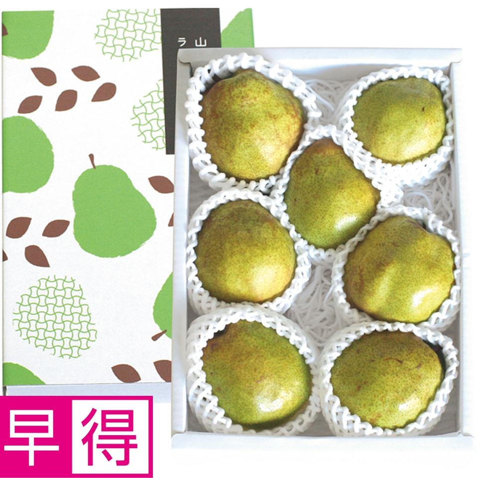 【冬の贈りもの早得】山形県産（東根市）山形セレクション（3L〜4Lサイズ、6〜9個、計2kg以上）