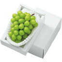 【冬の贈りもの】岡山県産シャインマスカット1房