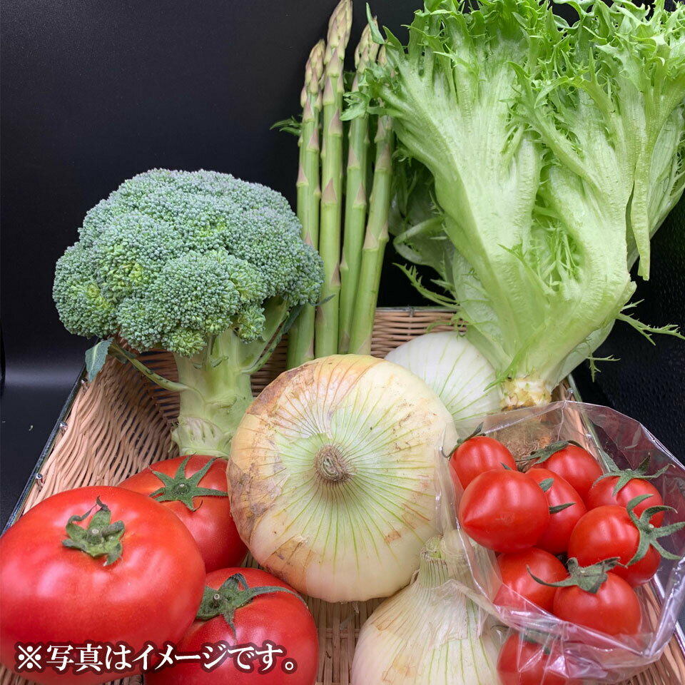 ★★5/27 1:59まで全品ポイント10倍★★【三重県鈴鹿みどりの大地】鈴鹿高原野菜セット S 1箱