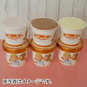 【茅ヶ崎プレンティーズ】アイス6個 ＋ワッフルチップス(プレーン＆チョコ)